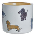 DOG LOVER Blumenübertopf Dackel