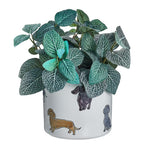 DOG LOVER Blumenübertopf Dackel
