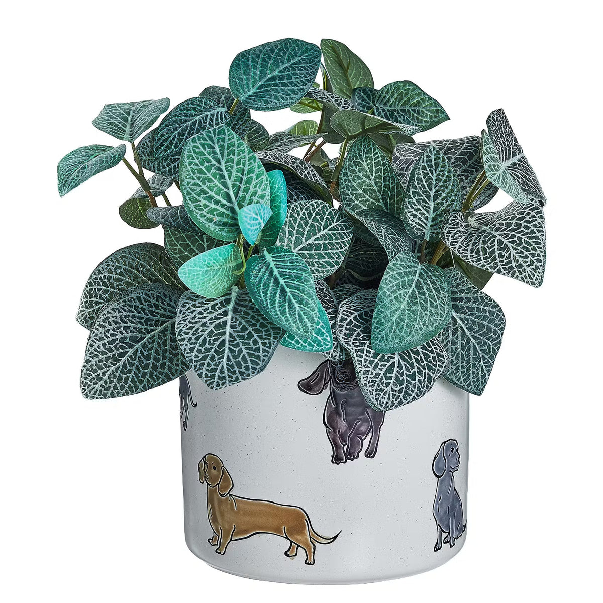 DOG LOVER Blumenübertopf Dackel