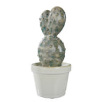CACTUS Deko-Kaktus