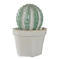 CACTUS Deko-Kaktus
